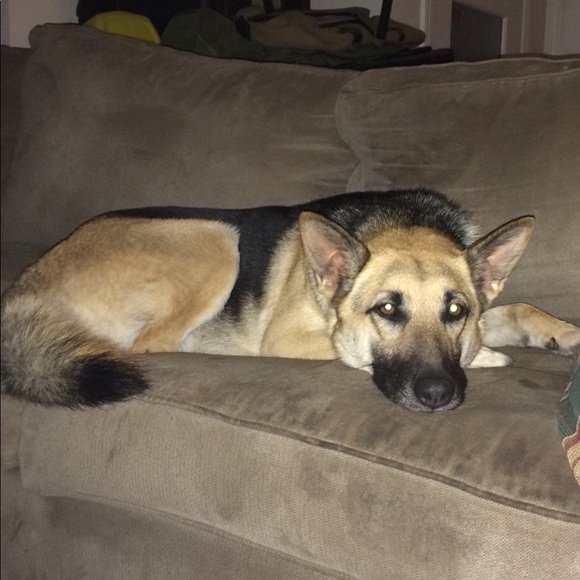 Meet your Posher, Stephanie - Picture 2 of 5